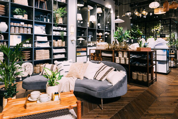 Home accessories and household products in store of shopping centre. View of home accessories for living room in shop fashion retail store. Sofa with pillows, table with cups. Home plant in flower pot - obrazy, fototapety, plakaty