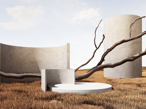 3D podium background, stand on natural dry grass. Natural pedestal in pastel, beige colors. Minimal showcase advertising with arches, curved concrete walls. Field with autumn dry grass.
