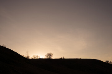 Fototapeta na wymiar silhouette landscape and tree at sunset