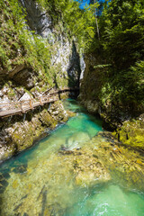 Vintgar gorge in Slovenia