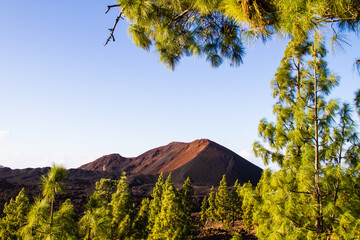 Tenerife, sentiero del Chinyero, parco del Teide - obrazy, fototapety, plakaty