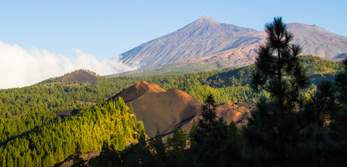Tenerife, sentiero del Chinyero, parco del Teide. Vista sul vulcano più alto di Spagna - obrazy, fototapety, plakaty