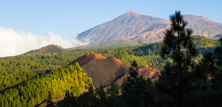 Tenerife, sentiero del Chinyero, parco del Teide. Vista sul vulcano pi&ugrave; alto di Spagna