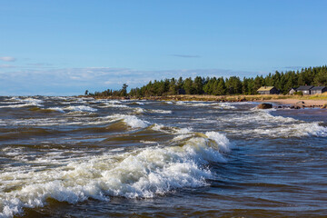 A Stormy Day