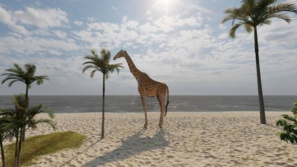 giraffe on the beach