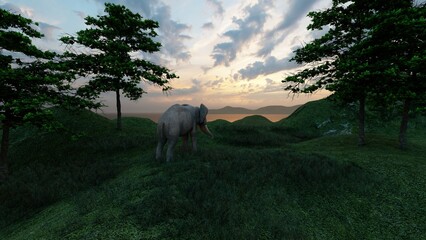 Fototapeta na wymiar elephant on the hill