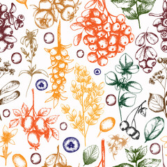 Hand drawn healthy tea florals with herbs and spices seamless pattern. Detailed retro style repeat paper in color. Vintage sketch background for labels, packaging, textile and cards design. Herbal