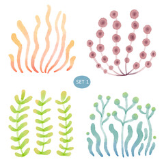 Coral under the sea watercolor painting