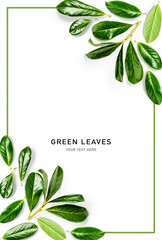 Green leaves creative frame on white background.