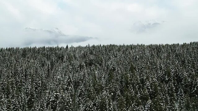 Backward Flight Over Snowy Forest and Cloud-Covered Mountain Scenery in British Columbia, Canada: Aerial View from Drone