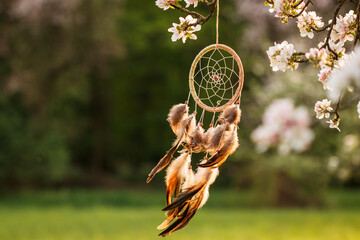 Dreamcatcher hanging on blooming tree in wind at springtime. Spirituality and ritual amulet for...