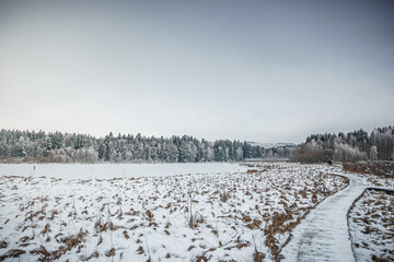frozen landscape with snow and trees and lake