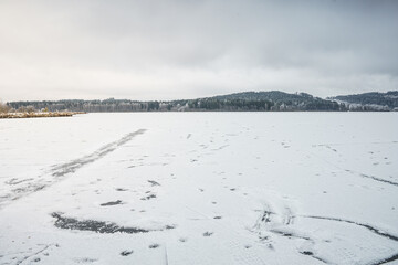 frozen landscape with snow and trees and lake