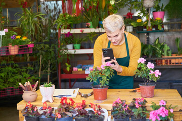 Floristin fotografiert Blume für den online Blumenshop