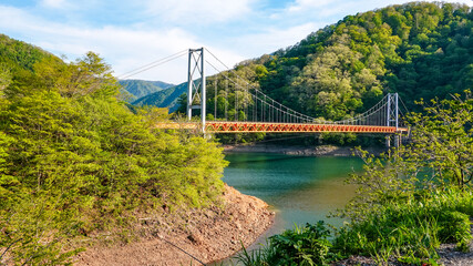 Obraz premium 九頭竜湖に架かる夢のかけはしこと箱ヶ瀬橋（福井県大野市）