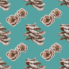 Seamless pattern. Watercolor realistic mushrooms. Mushrooms growing on trees. Pleurotus ostreatus, the oyster mushroom, oyster fungus, or hiratake,