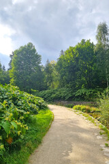 Fototapeta na wymiar Beautiful hiking trail in a green park on a sunny day.