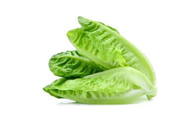 Fototapeta na wymiar fresh baby cos,lettuce isolated on white background