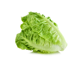 fresh baby cos (lettuce) on white background
