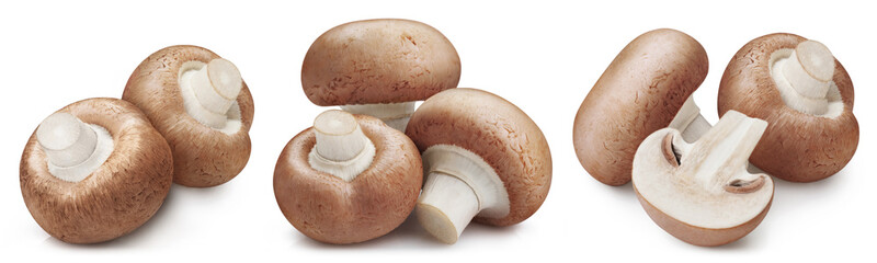 Delicious mushrooms, isolated on white background