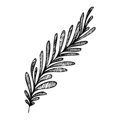 Botanical twig vector. Silhouette of a twig with leaves. Botanist clipart.
