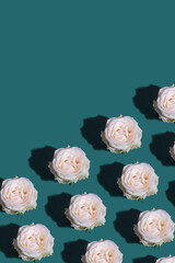 Roses flowers bud pattern on green background vertical format