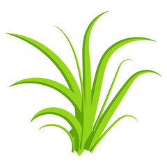 Garden Turf 