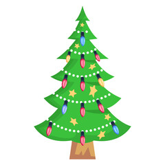 Conifer 