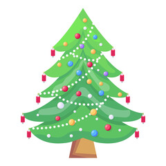 Conifer 