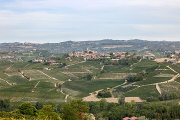 Fototapeta na wymiar Langhe vineyards near Serralunga d'Alba. Unesco Site, Piedmont, Italy