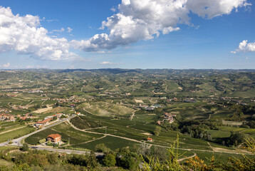 Obraz premium Langhe vineyards near Barolo and La Morra, Unesco Site, Piedmont, Italy