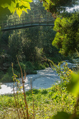 Caima river pollution