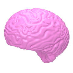 The pink brain png image