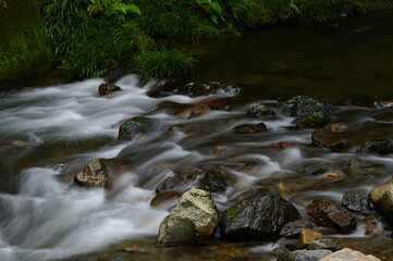 自然の中を流れる川の清流