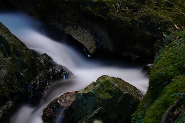 自然の中を流れる川の清流