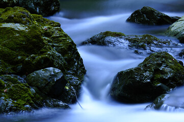 自然の中を流れる川の清流