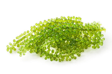 green sea grapes seaweed isolated on white background.