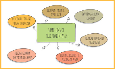 symptoms of  trichomoniasis.  Vector illustration for medical journal or brochure. 