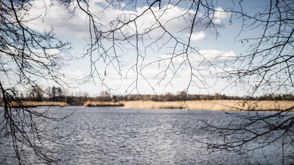Widok na jezioro wsród gałązek © Maciej