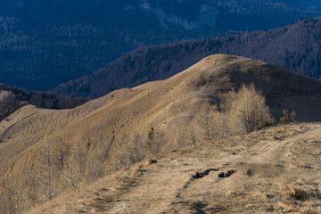 Sunny day on the mountain, Baiului Mountains, Romania 