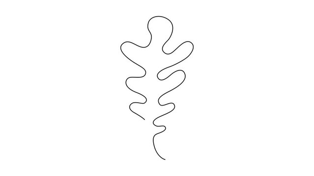 One Line Drawing Eucalyptus Leaf Twig Animation, Minimal One Line Drawing Palm Tree Leaf, Continuous Line Draw, Tropical Animated Illustration