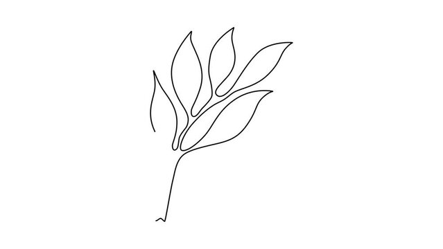 One Line Drawing Eucalyptus Leaf Twig Animation, Minimal One Line Drawing Palm Tree Leaf, Continuous Line Draw, Tropical Animated Illustration