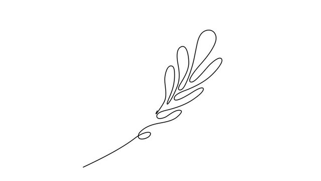 One Line Drawing Eucalyptus Leaf Twig Animation, Minimal One Line Drawing Palm Tree Leaf, Continuous Line Draw, Tropical Animated Illustration