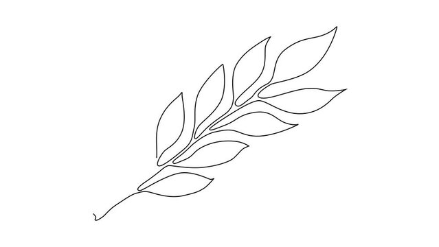 One Line Drawing Eucalyptus Leaf Twig Animation, Minimal One Line Drawing Palm Tree Leaf, Continuous Line Draw, Tropical Animated Illustration
