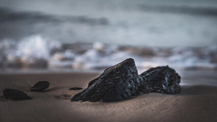 Wyrzucone kamienie na plaży - Bałtyk - obrazy, fototapety, plakaty