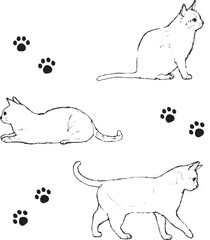 かわいい猫の線画セット