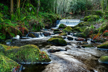 waterfall in the forest