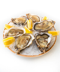 Fresh oysters with lemon's slices in ice. Restaurant delicacy. Saltwater oysters dish.