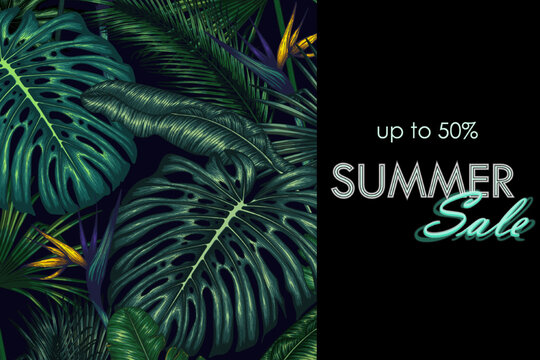 Vector template of summer discount banner with tropical plants. Palm and banana leaves, monstera, strelitzia, aralia, elephant ear leaf