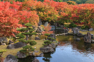 Fototapeta na wymiar 秋の日本庭園